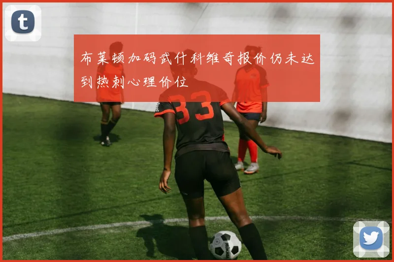 布莱顿加码武什科维奇报价仍未达到热刺心理价位